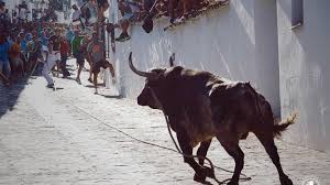 La Fundación del Toro de Lidia se ha reunido con la Federación del Toro de Cuerda