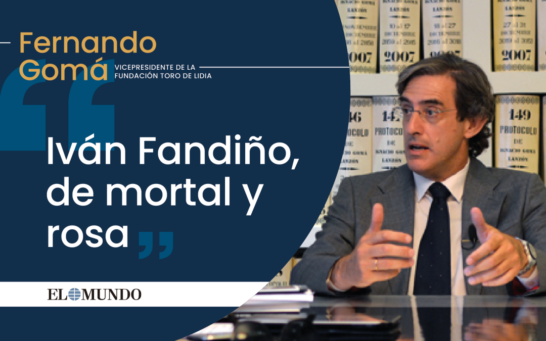 Artículo:  Iván Fandiño, de mortal y rosa