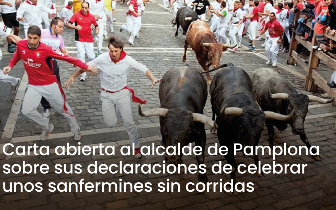 Carta abierta al alcalde de Pamplona: «Pamplona, diversa y universal»