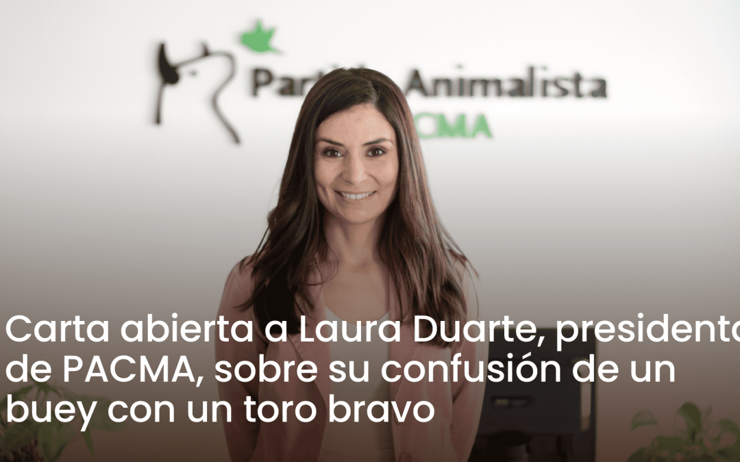 Carta abierta a Laura Duarte, presidenta de PACMA