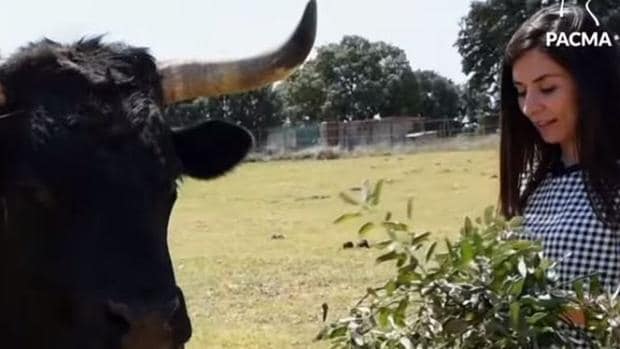 Victorino Martín a Laura Duarte (PACMA): «Alerte a sus seguidores que no intenten hacer una acción similar con toros bravos»