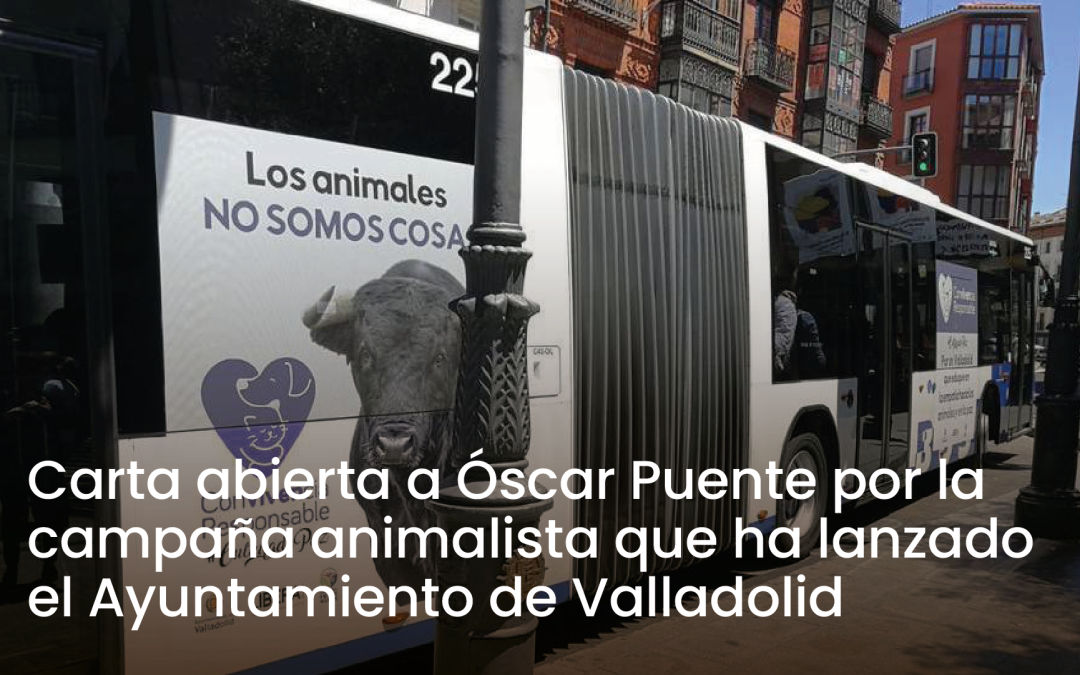 Carta abierta a Óscar Puente, Alcalde de Valladolid