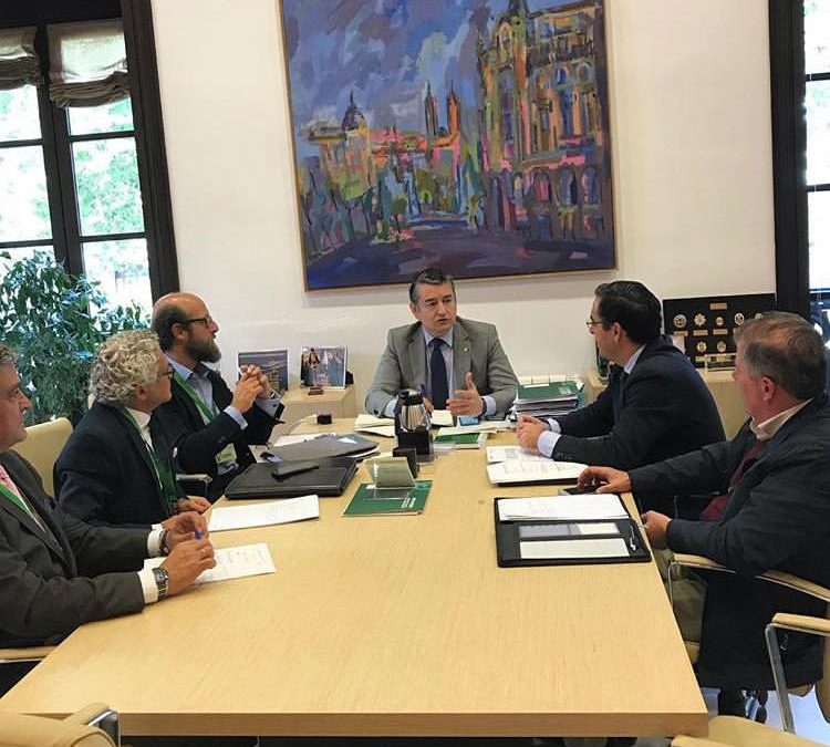 Reunión con el Viceconsejero de la consejería de Presidencia de la Junta de Andalucía, Antonio Sanz